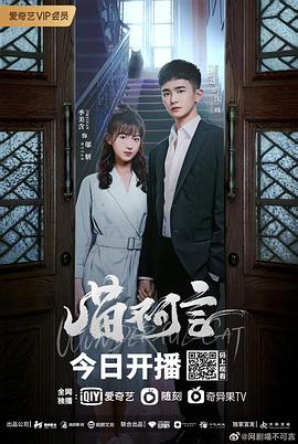 爱豆传媒《喵不可言》免费在线观看